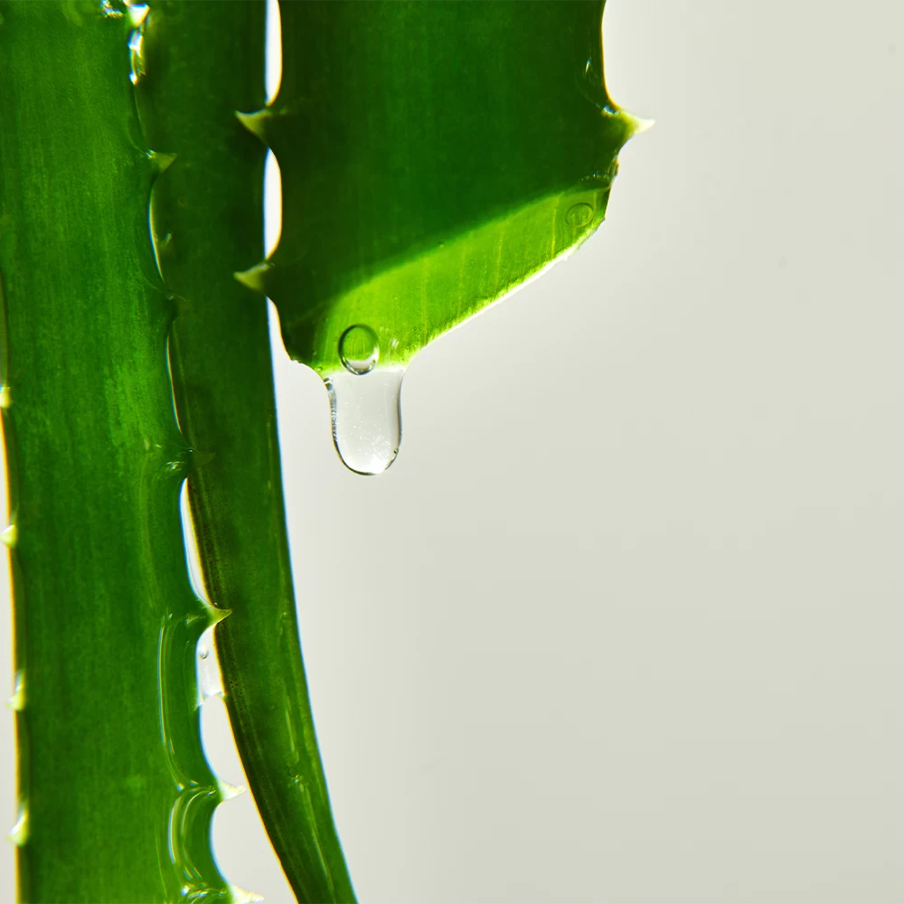Aloe vera gel
